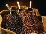 les variétés de cafés